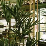 Hotell Iliria Boutique